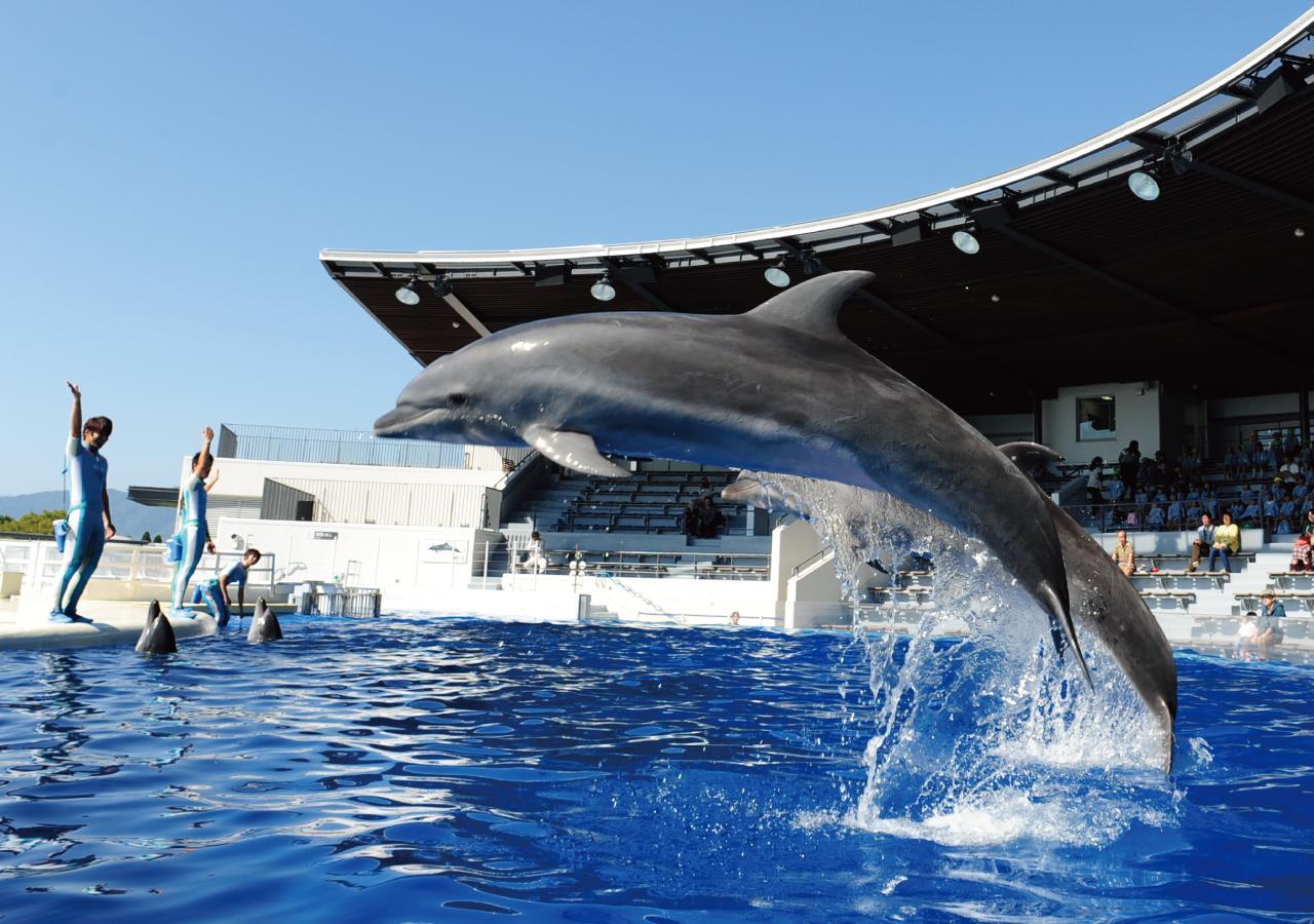 Ab Hotel Kyoto Shijo Horikawa Dış mekan fotoğraf